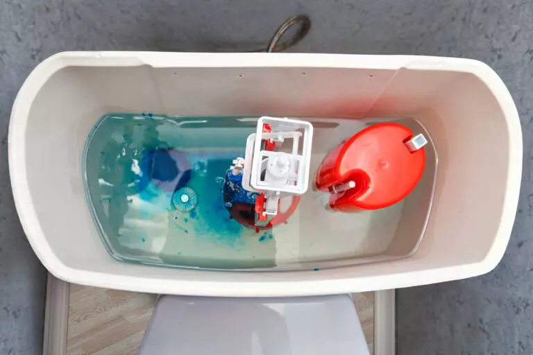 How to Clean a Toilet Tank