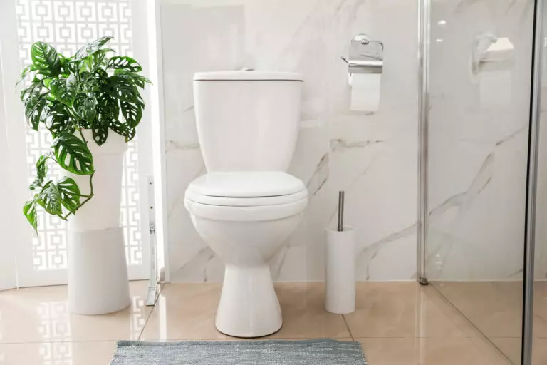 How to Clean a Toilet