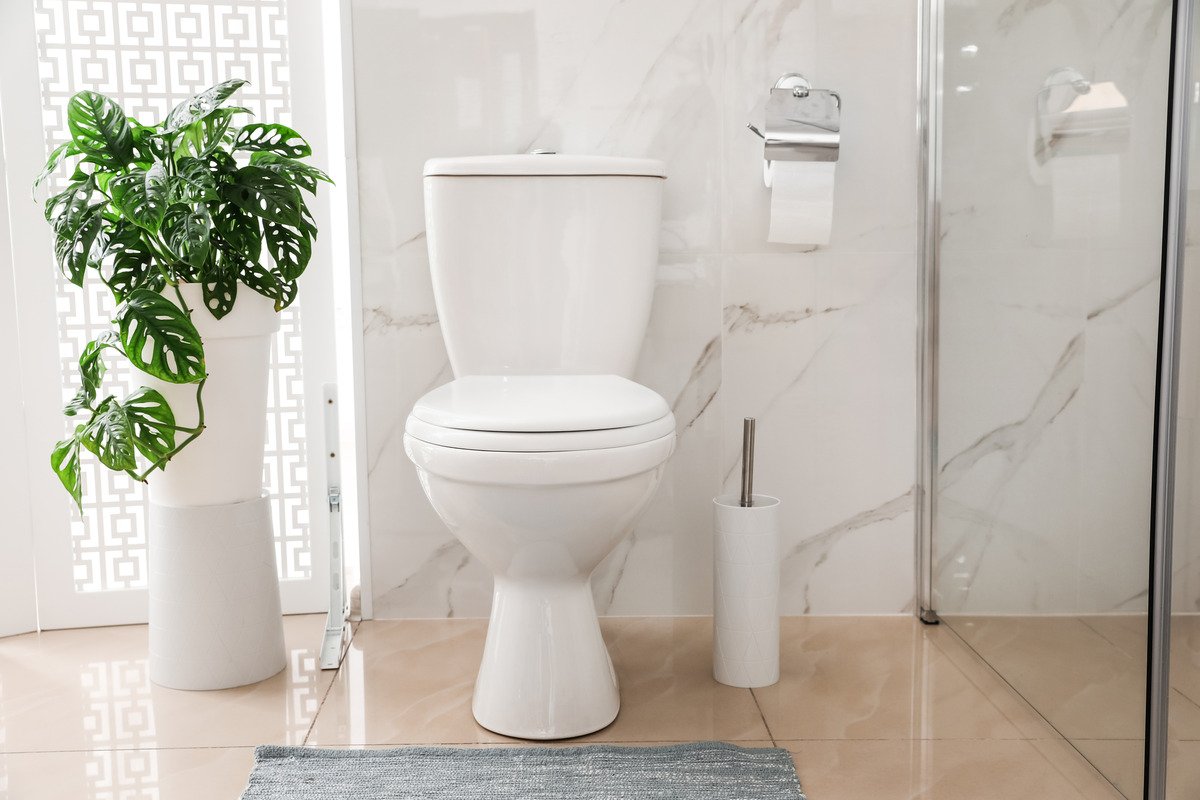How to Clean a Toilet