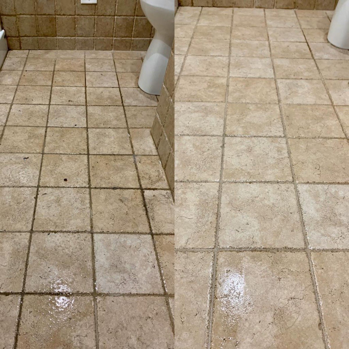 get rid of mold