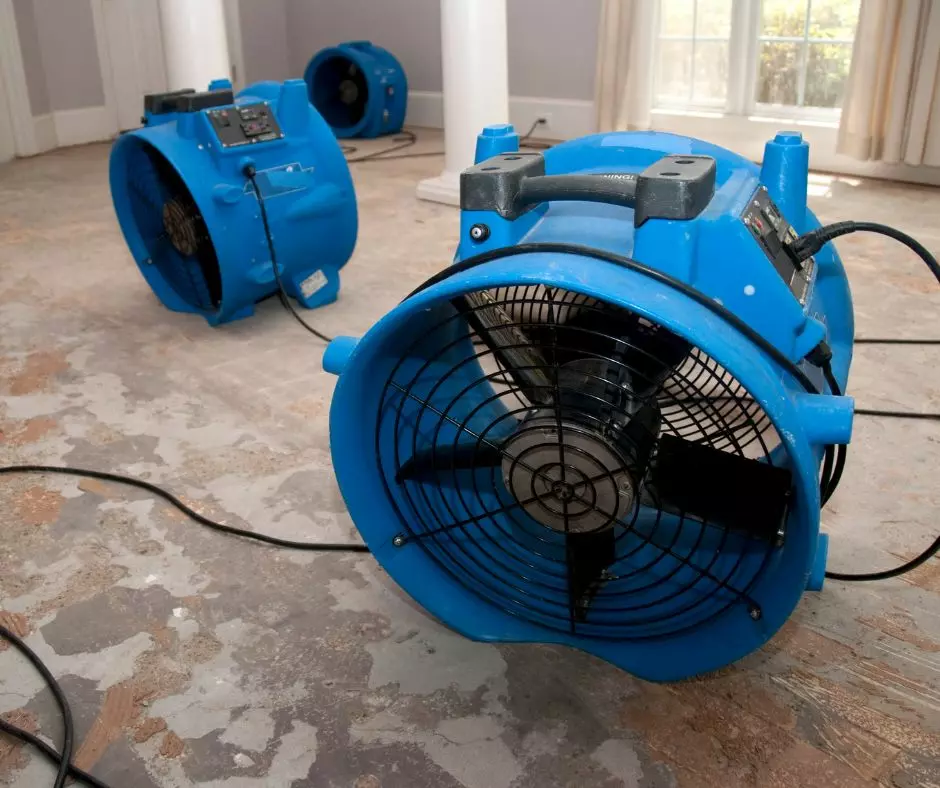 Two blue industrial fans, essential for floor maintenance, are placed on a stripped floor in a room with white pillars and beige curtains. The fans are connected to electrical cords.