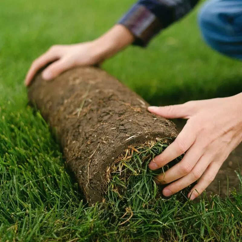 Crop man with turf roll