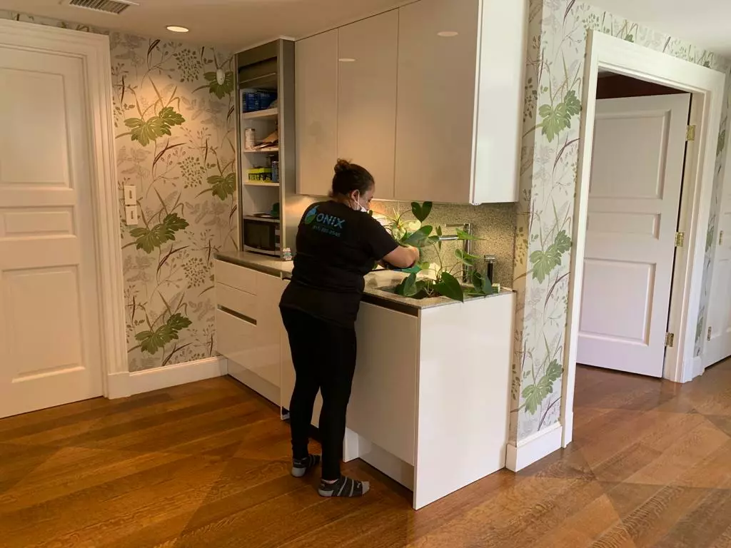 A person in a black shirt and pants is cleaning a countertop in a kitchen adorned with white cabinets and leafy wallpaper, creating an almost gallery-like backdrop. Open shelves and a door are visible in the background, completing the tidy scene.