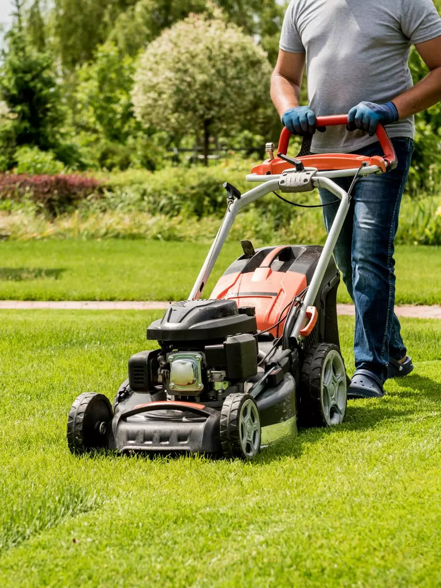 A person in jeans and a gray t-shirt is mowing the lawn with an orange and black lawn mower on a sunny day, ensuring proper exterior maintenance.
