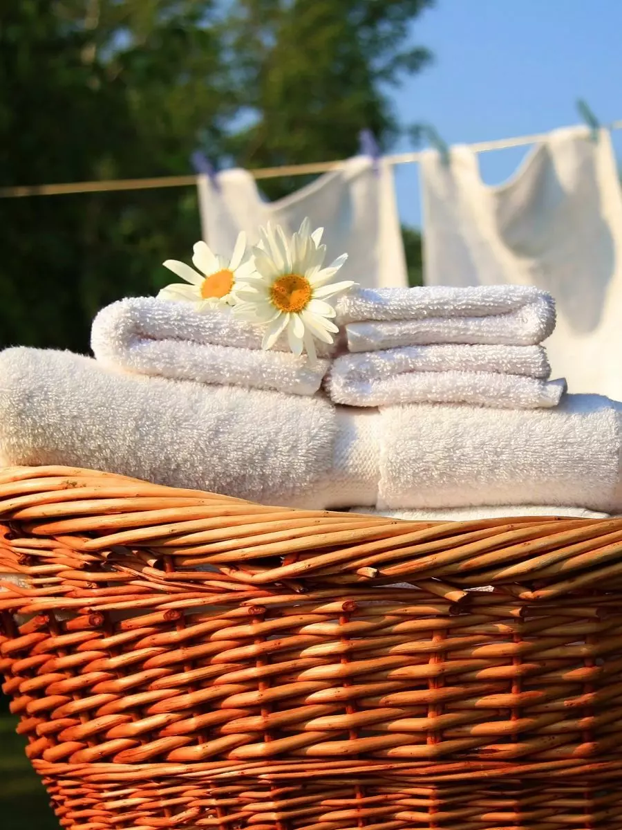 A wicker basket filled with neatly folded white towels and two daisies on top. In the background, white sheets hang on a clothesline with a clear sky and green trees, showcasing pristine interior maintenance.