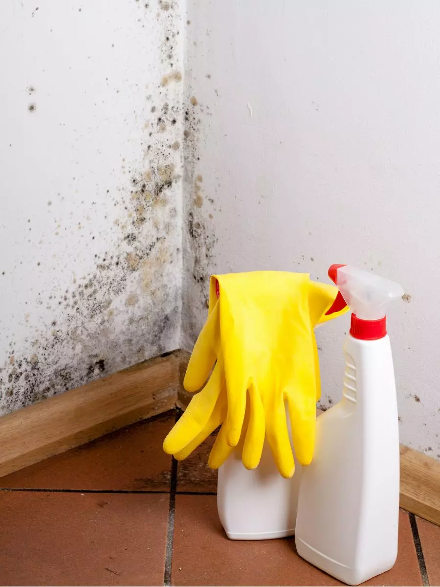 A moldy wall corner with cleaning supplies, including a spray bottle and yellow gloves, on a tiled floor showcases the importance of interior maintenance.