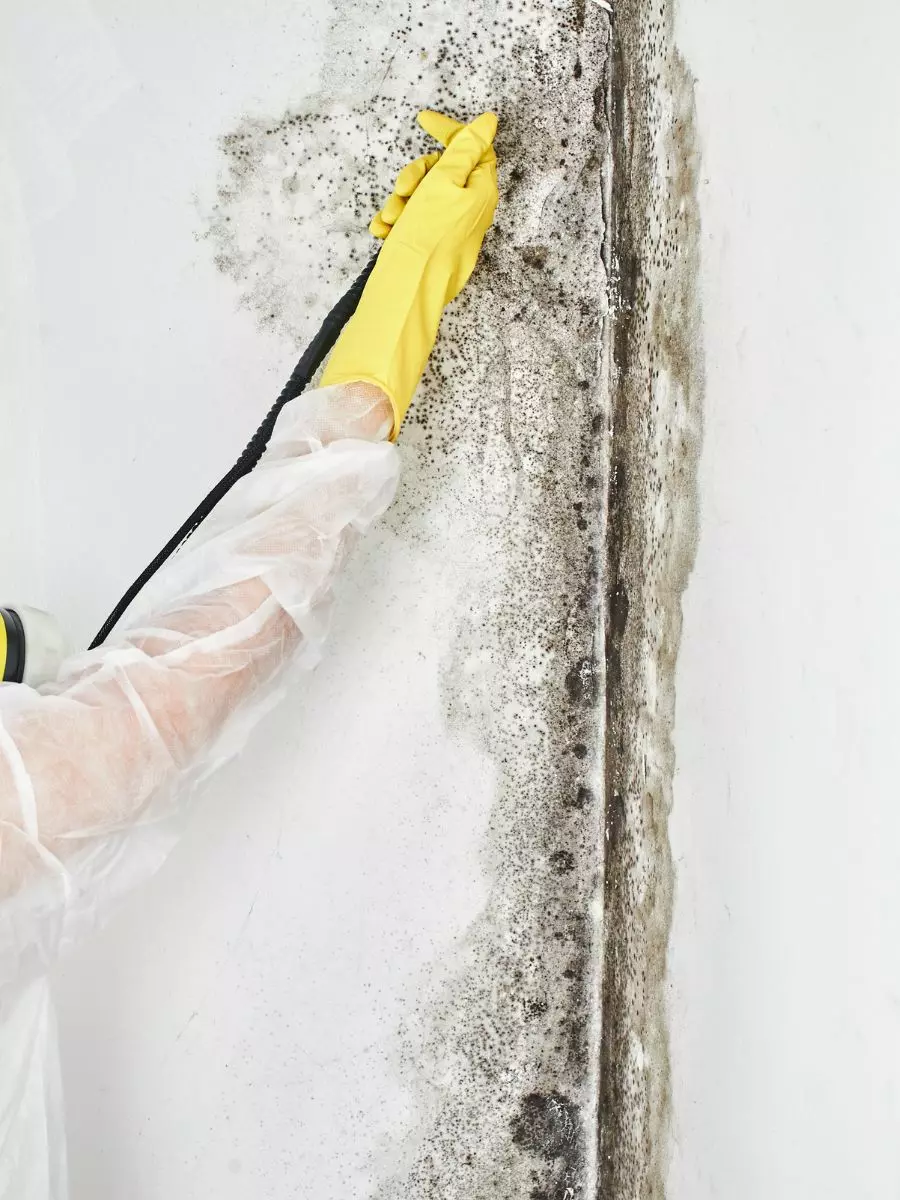 A person in protective clothing and yellow gloves uses a handheld tool to clean mold off a white wall, emphasizing the importance of interior maintenance.